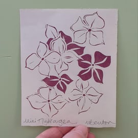 'Mini Hydrangea' Lino Print