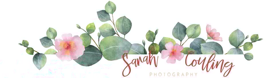 Sarah's Creative Outlet