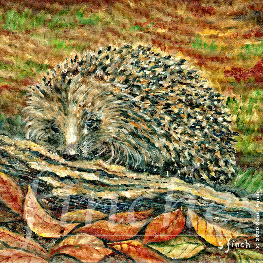 Spirit of Hedgehog - Limited Edition Giclée Print