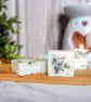 Sweet Fig & White Grape Botanical Soy Wax Melts - Scented Wax Melts - Handmade