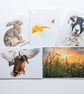 Just because wildlife series