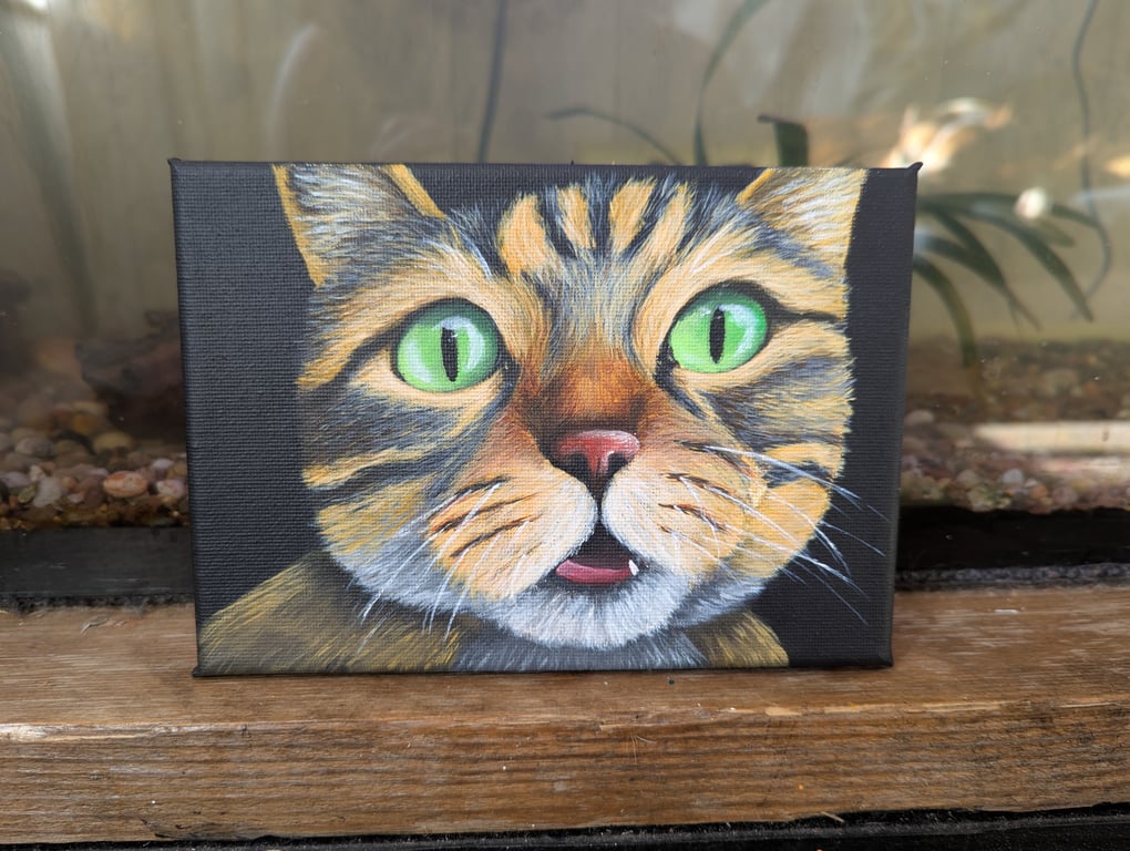 Curious - Cat Painting 