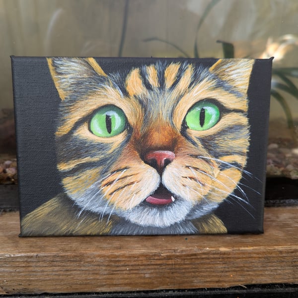 Curious - Cat Painting 