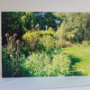 Grassy garden path - Beth Chatto gardens - greeting card