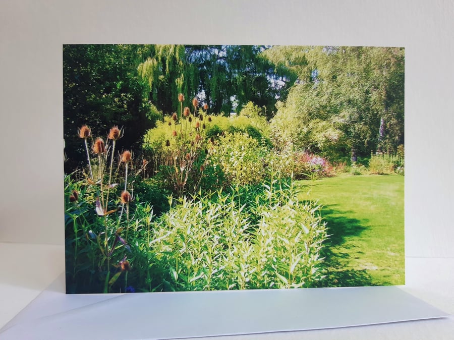 Grassy garden path - Beth Chatto gardens - greeting card