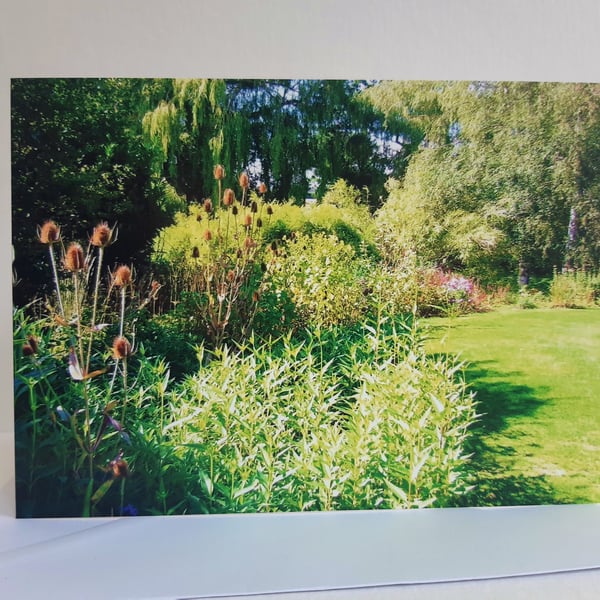 Grassy garden path - Beth Chatto gardens - greeting card