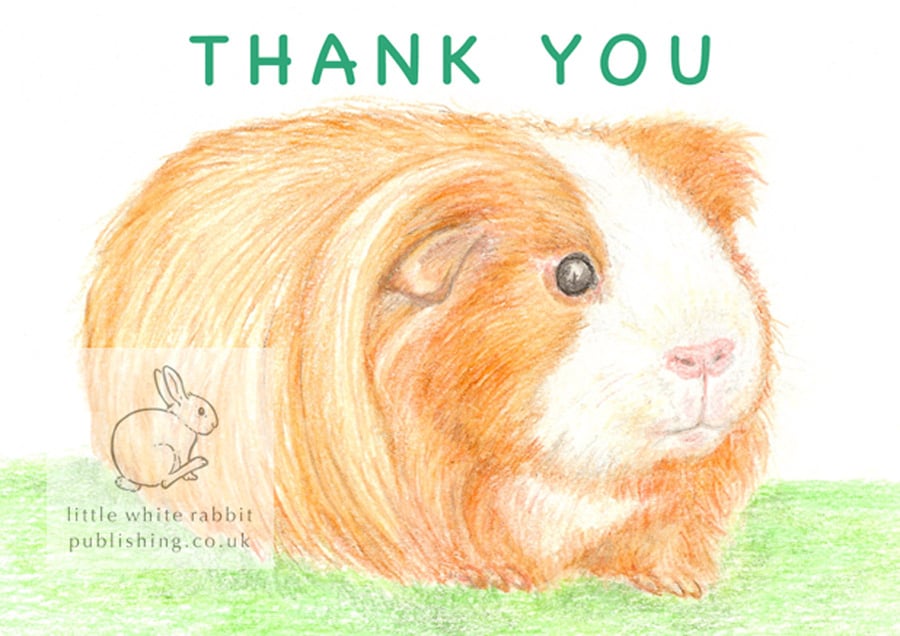 Amber the Guinea Pig - Thank You Card