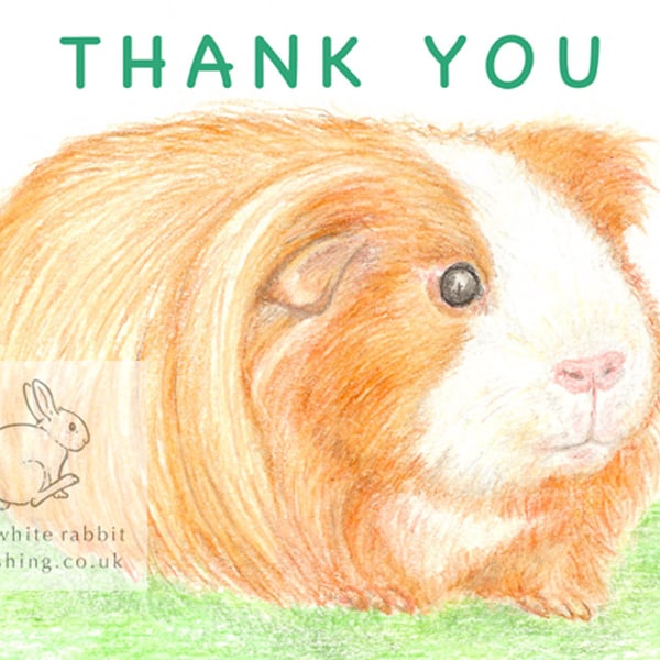 Amber the Guinea Pig - Thank You Card