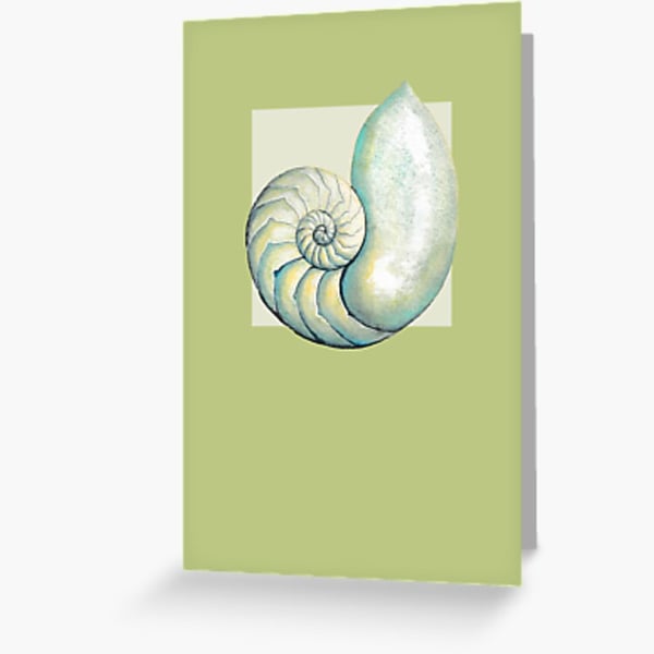 Nautilus sea shell in green blank art card modern spiral shell design