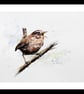 Wren, Original Watercolour Painting. - Image 2