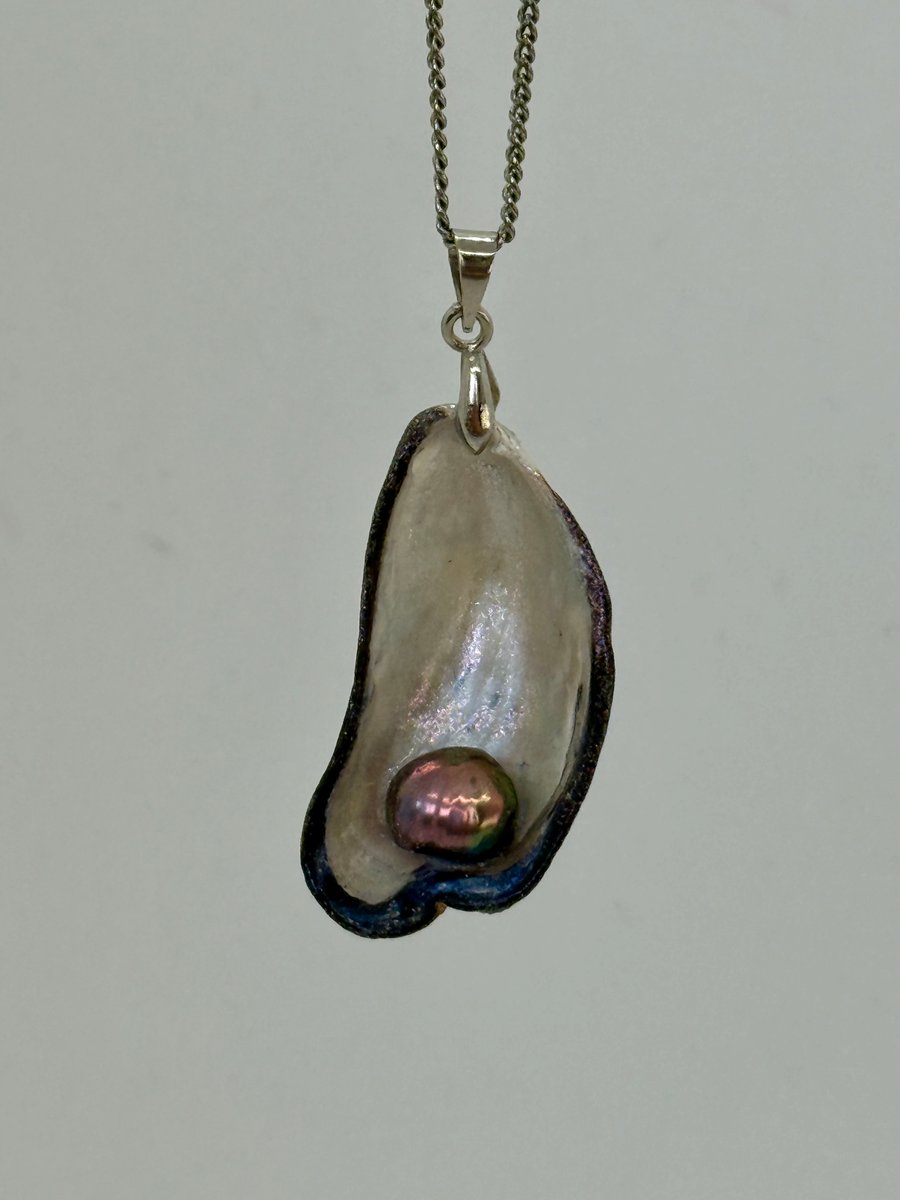 Mussel shell necklace with genuine pearl