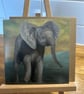 6 x 6 inch Baby Elephant Card