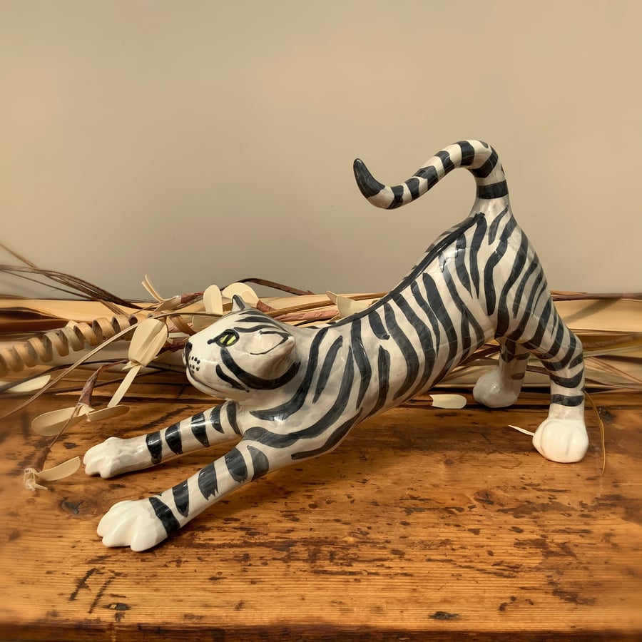 Silver Tabby Stretching Cat