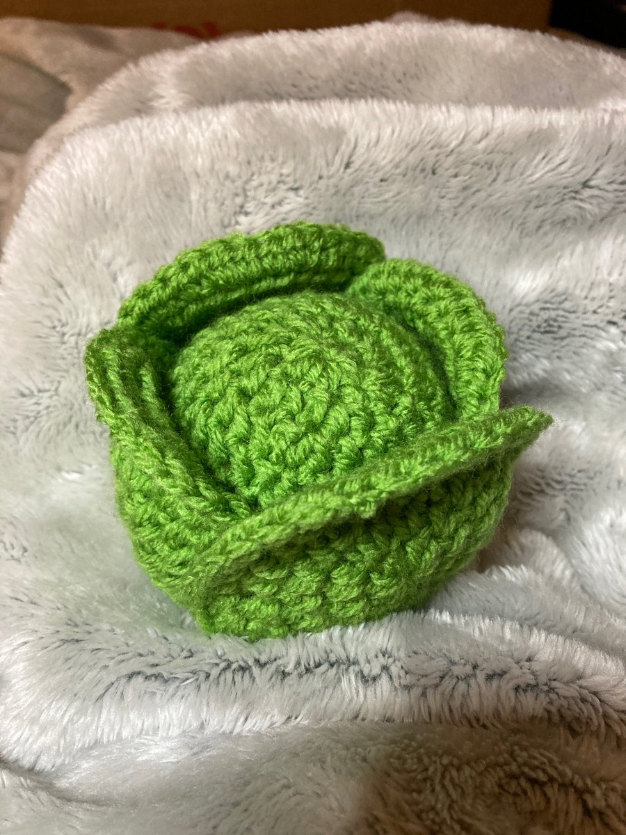 Brussel sprout chocolate orange cover