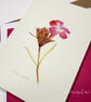 Dianthus Pontederae Botanical Greeting Card – Pinks & Greens Collection - Image 4