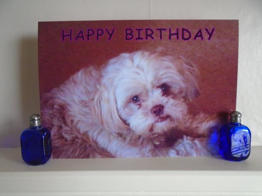 Happy Birthday Cute Dog Card A5 Size 