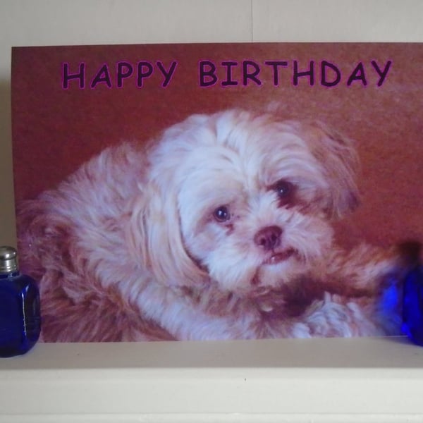 Happy Birthday Cute Dog Card A5 Size 