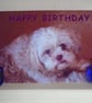 Happy Birthday Cute Dog Card A5 Size  - Image 1