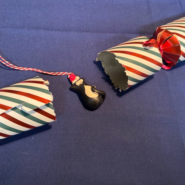 Christmas cracker cat