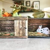 Matchbox art. Diorama -  Rabbit in hutch
