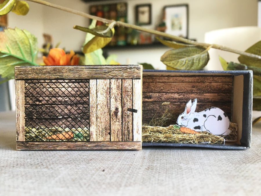 Matchbox art. Diorama -  Rabbit in hutch