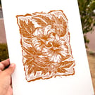 'Hibiscus: I didn't know these could grow here' A4 lino print