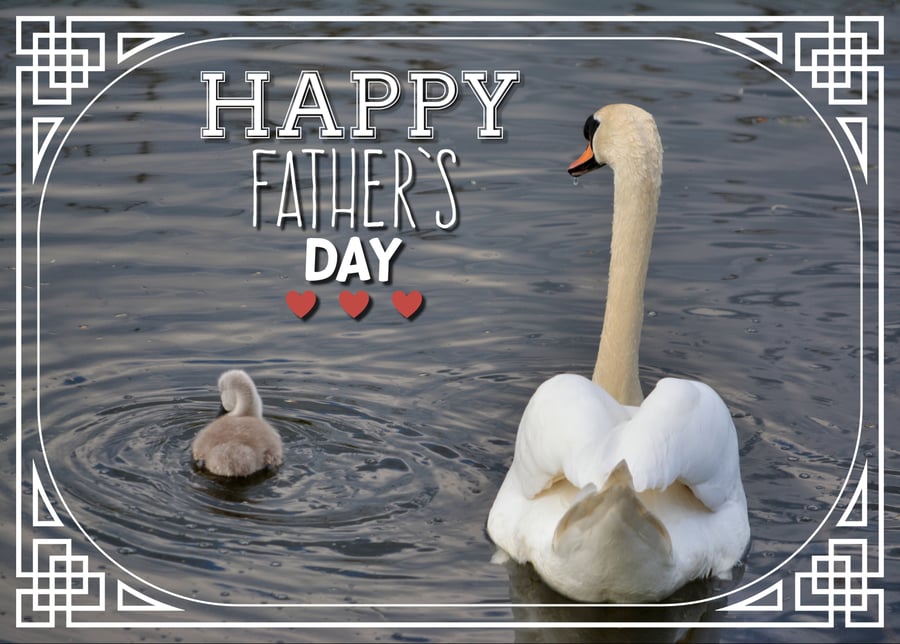 Swans Father's Day Card A5
