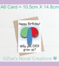 Rude Balloons Birthday Card - Willy A6 10.5cm x 14.8cm - Image 3
