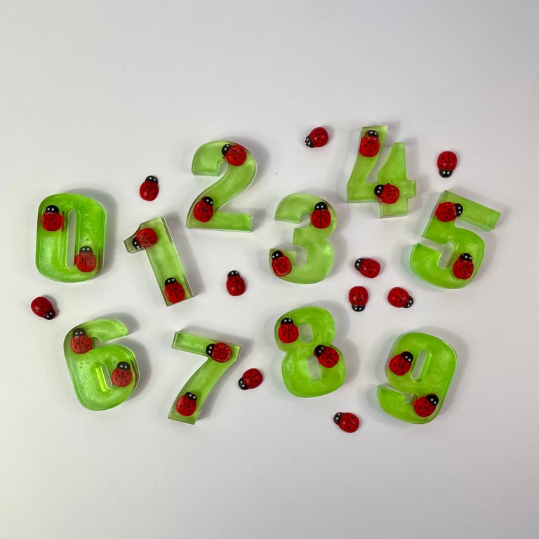 Ladybird Early Learning Numbers Set
