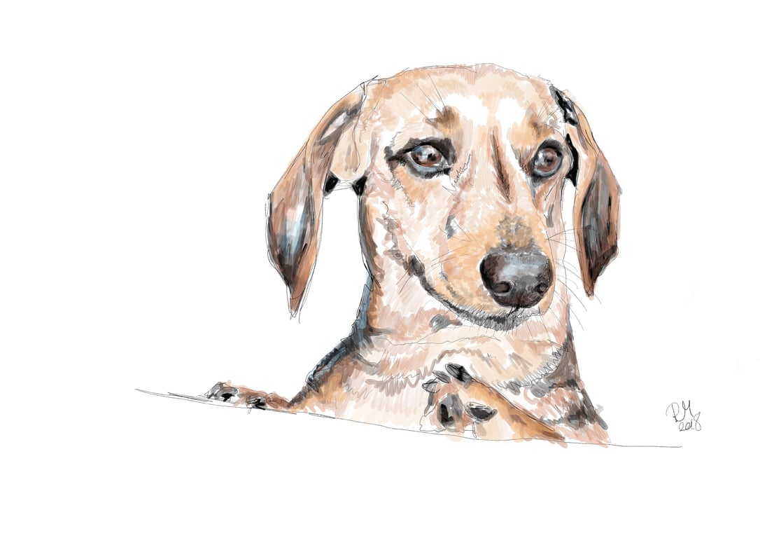 Rebekah Marshall Artist