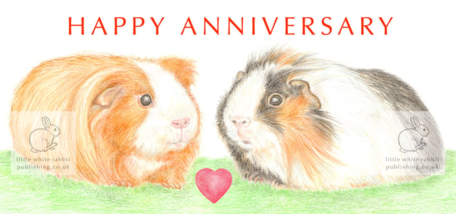 Long-haired Guinea Pigs Nose to Nose -  Anniversary Card