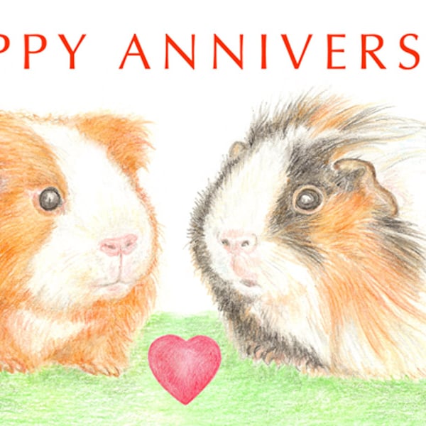Long-haired Guinea Pigs Nose to Nose -  Anniversary Card