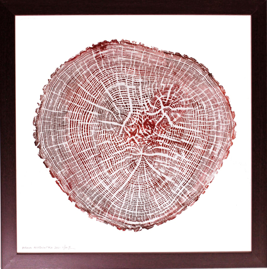 Autumnal Allotment Ash - Brown Tree Ring art large contemporary print