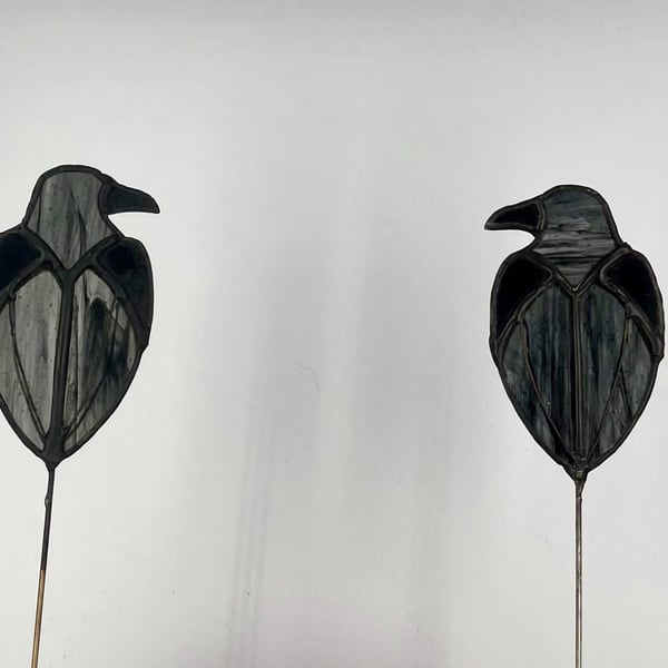 Raven plant stakes