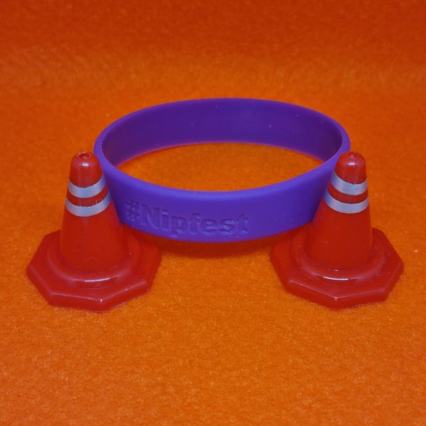 Nipfest Wristband 