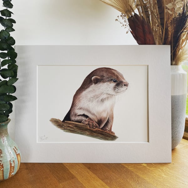 Otter Fine Art Print