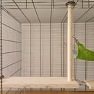 Pet Cage Sky Platform & 12 Hooks