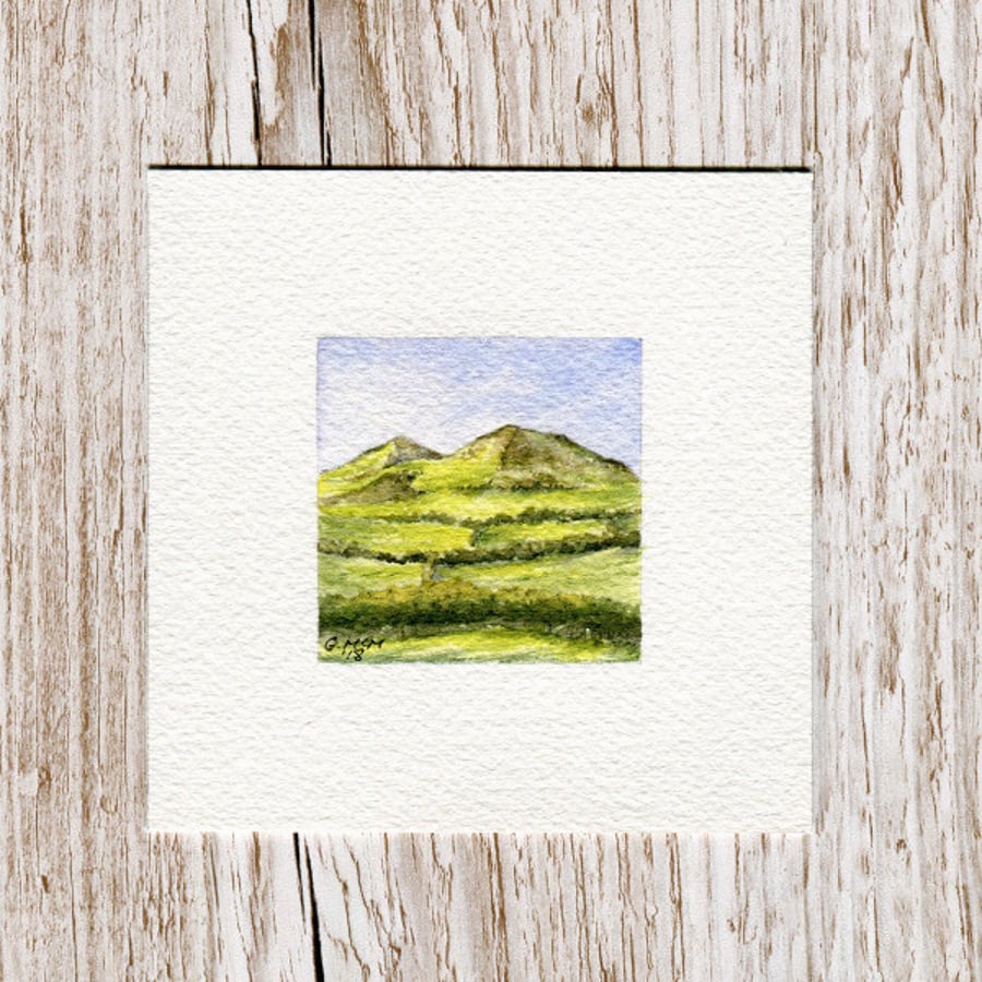 Original Watercolour Miniature - painting of Eildon Hills, Scottish Borders