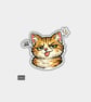 Funny Vinyl Sticker For Adults - Cute Cheeky Cat 