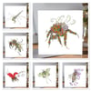 6 x different insect greeting cards