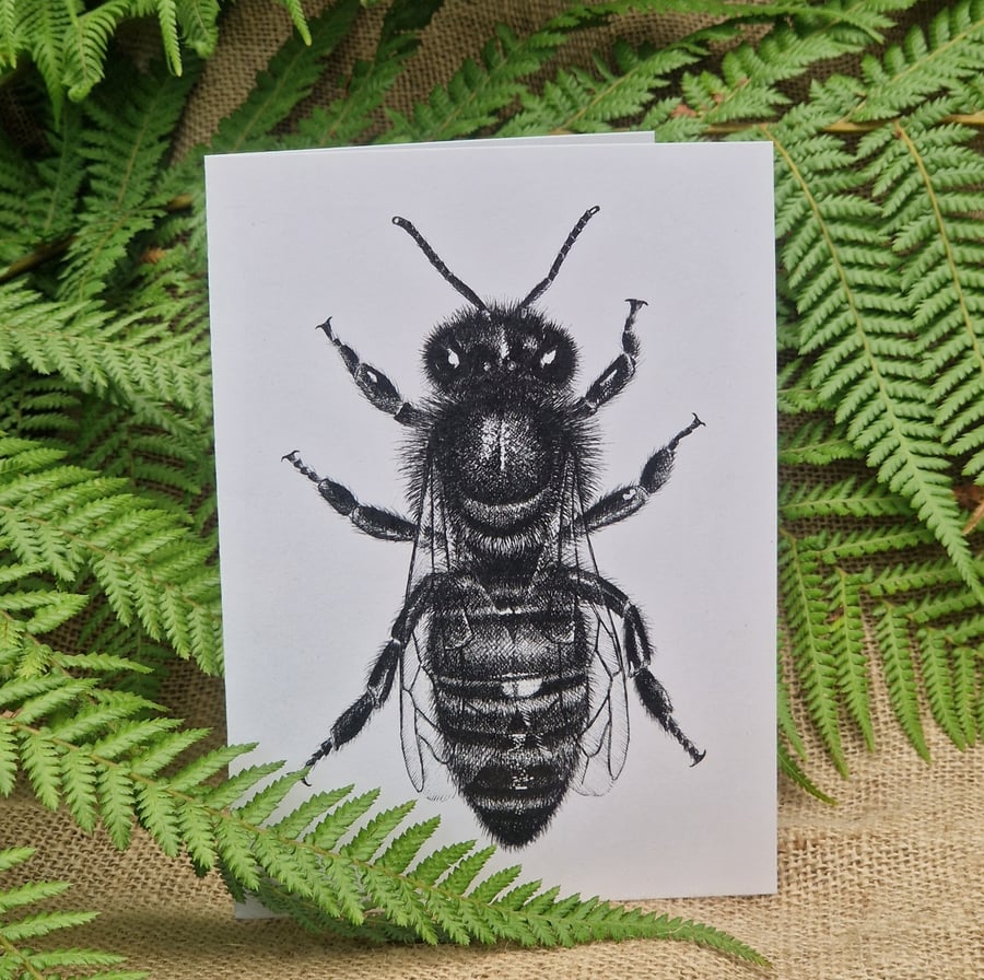 Black bee card - UK native & endangered honey bee