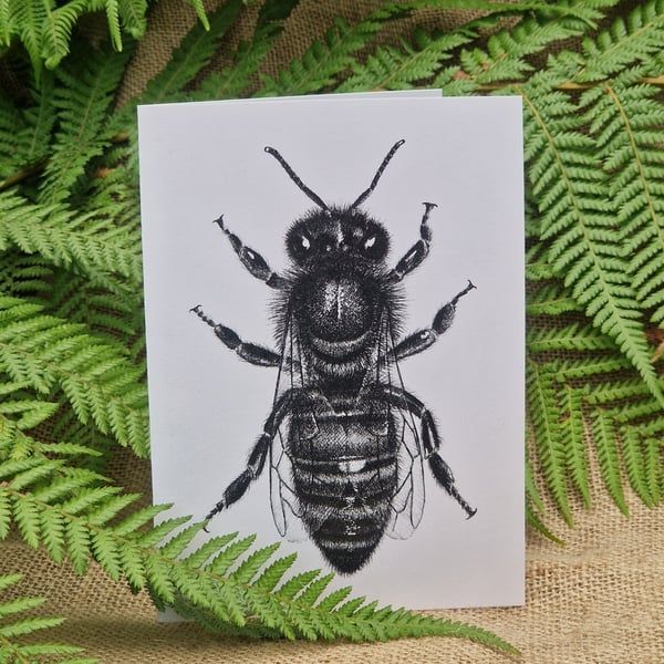Black bee card - UK native & endangered honey bee