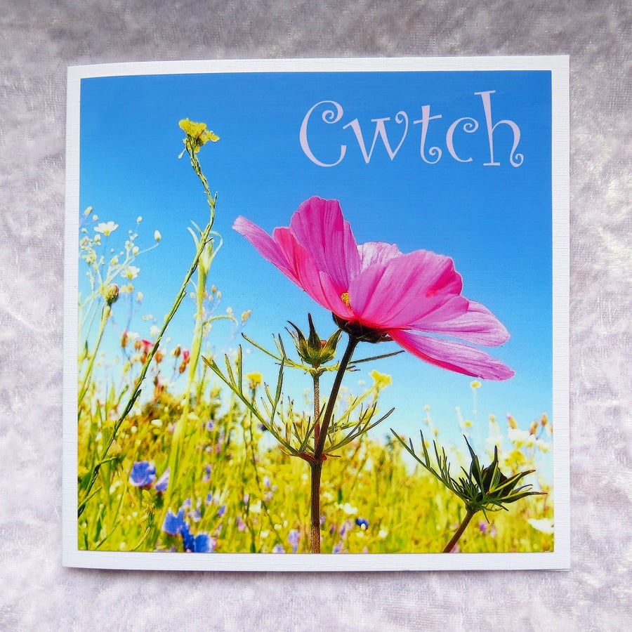 Cwtch, welsh hug, welsh greetings card, cymraeg