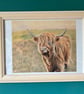 Highland  Cow Giclee print - Image 5
