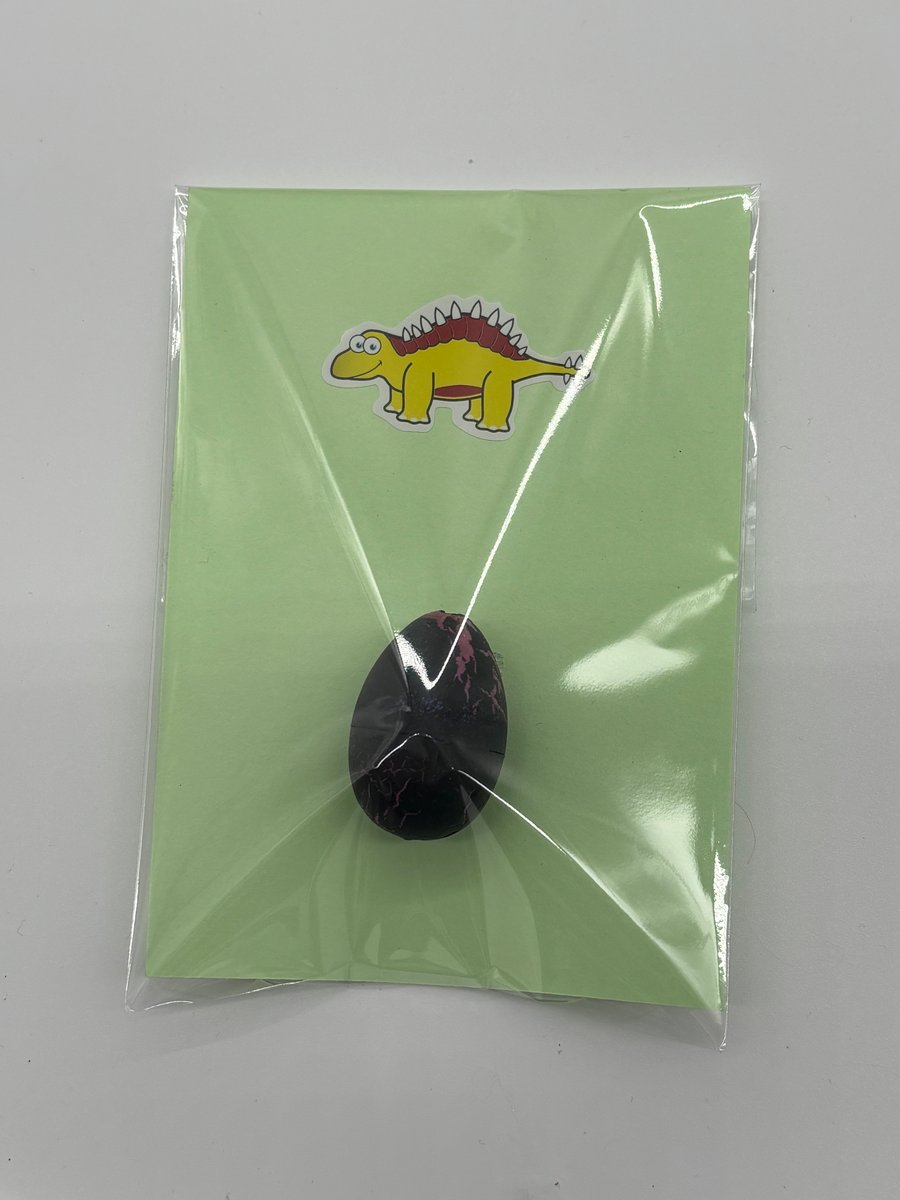 10 hatch a dinosaur eggs with a instruction card Perfect for party favours
