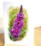 Blank Card A6 Portrait - Purple Loosestrife