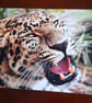 AMUR LEOPARD PHOTOGRAPH 