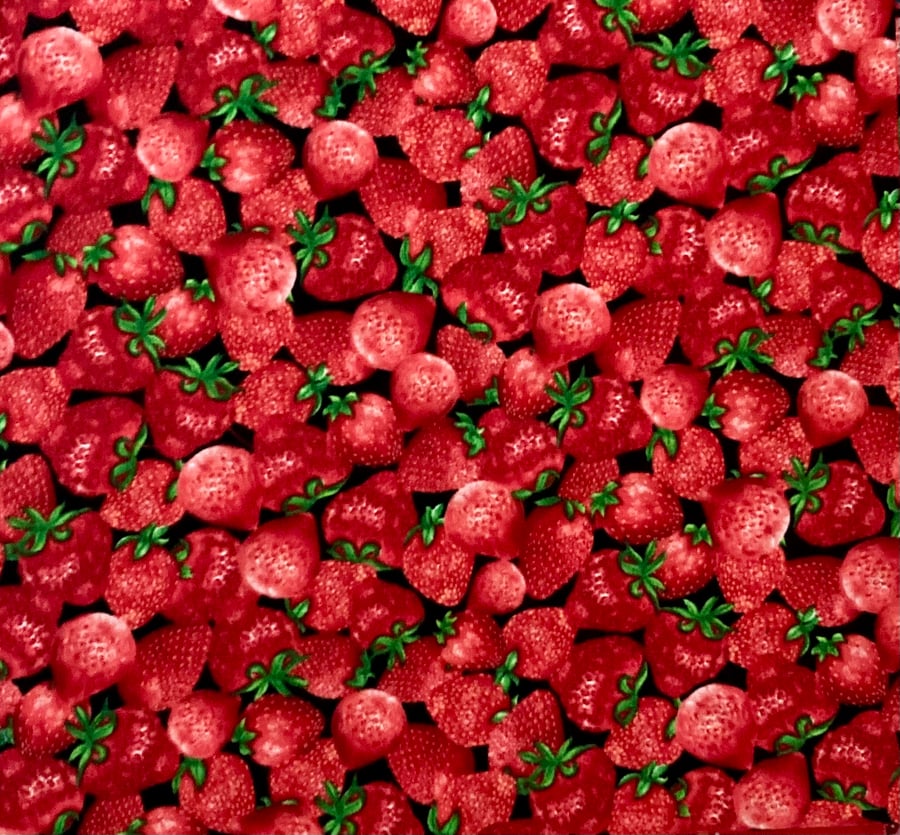 Strawberry Fabric