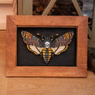 Death's Head Moth - 3D Artwork 