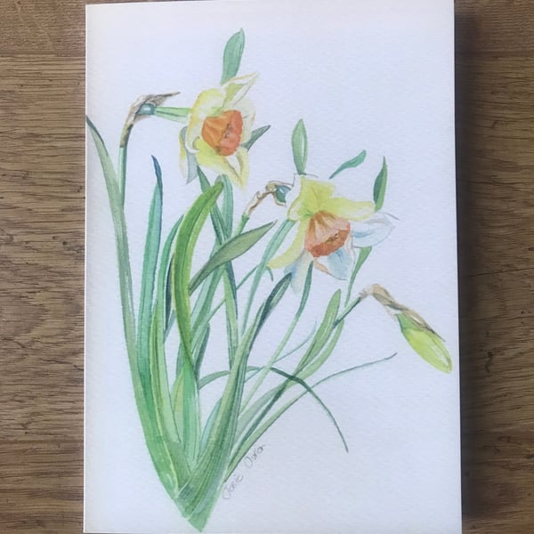 Pack of x5 Watercolour Daffodil Blank Greetings Cards